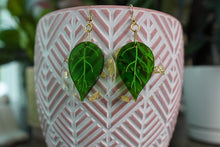 Load image into Gallery viewer, Dogwood Acrylic Earrings