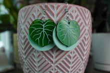 Load image into Gallery viewer, Ficus Acrylic Earrings